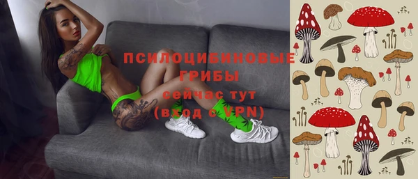 крисы Ростов