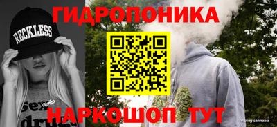 a pvp Волжск