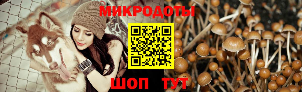 Псилоцибиновые грибы ЛСД Богородск