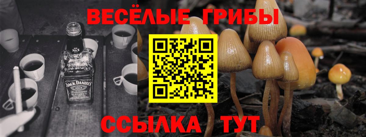 Псилоцибиновые грибы MAGIC MUSHROOMS  хочу наркоту  Богородск  Вход с VPN 